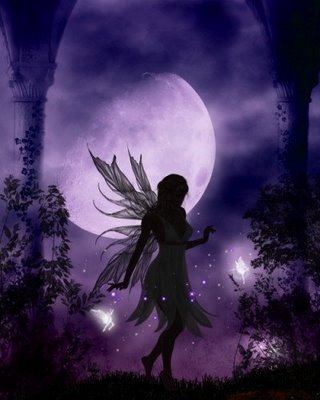 fairy in moonlight