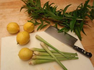 Lemon grass, Eureka lemons and lemon verbena...toddy time!.jpg