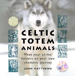 Celtic Totem Animals dvd cover.jpg