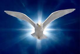 Dove of Peace.jpg