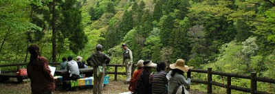 Forest-bathing folks..jpg