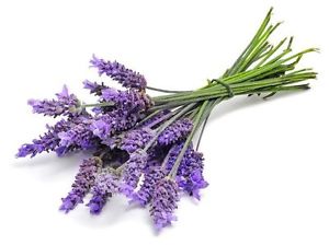 An offering of lavender.