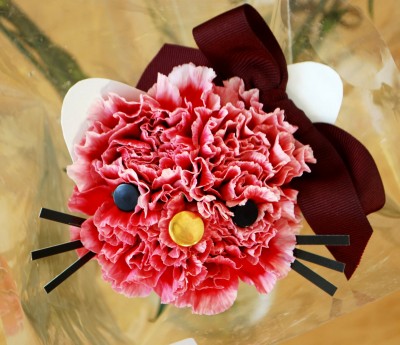 http://qwallpapers.net/happy-little-bento-hello-kitty-carnation-bouquet.html