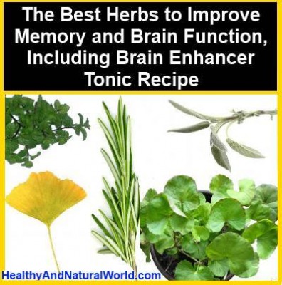 Herbs to Improve Memory.jpg