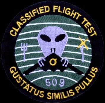 Military Badge with Alien on It.jpg