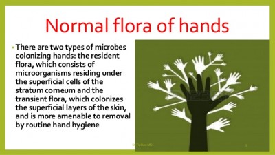 The flora of our hands.jpg