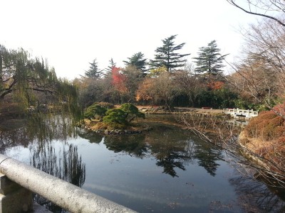 Beautiful pond at the temple premise!