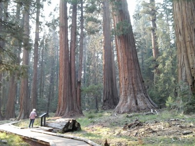 Mom strolls the meadow loop