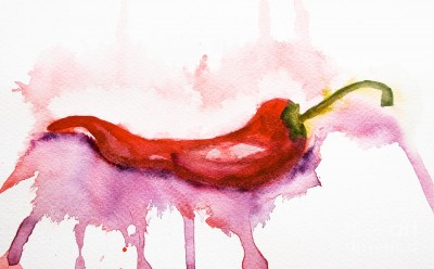 watercolor-illustration-of-red-hot-chili-pepper-regina-jershova.jpg