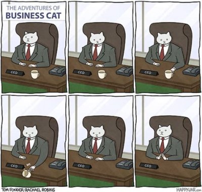 business cat.jpeg