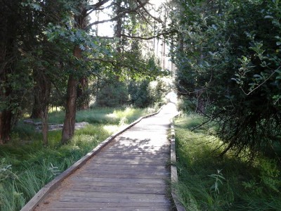 The boardwalk from camp across the meadow to Curry village or Half Dome village? I couldn't get used to the name changes!
