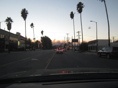palm trees blow as I head towards the fire
