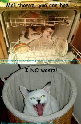 I once had a ferret in a dishwasher. Lol