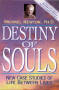 Destiny of Souls - Michael Newton, Ph.D.