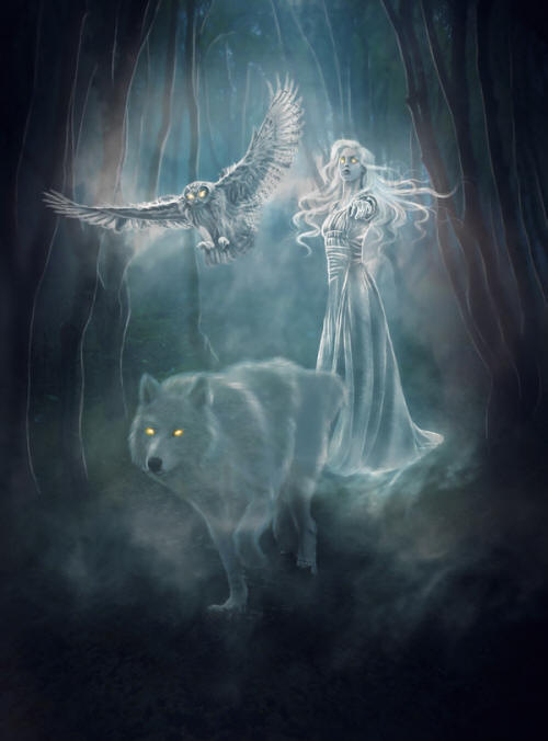 Ghost lady, ghost wolf, ghost owl in woods